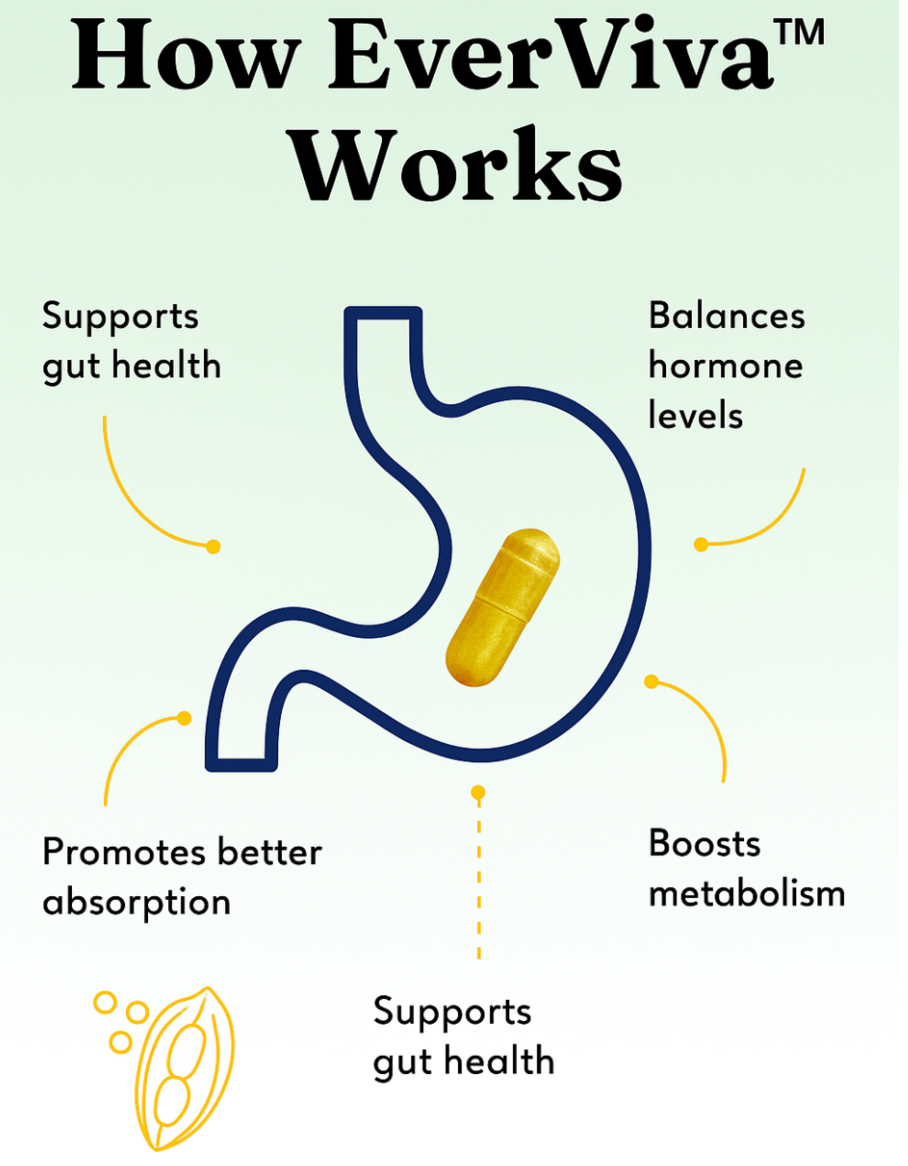 Everviva Meno Support